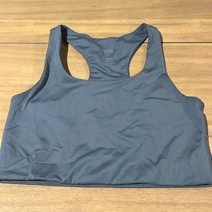 NWOT girlfriend collective Paloma blue long line sports bra